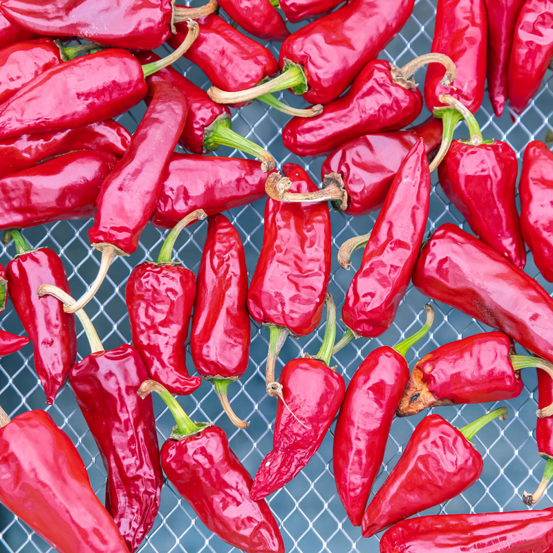 Piment d’Espelette, PDO certified