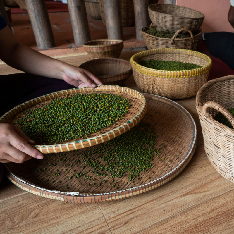 Malabar Green Pepper, Organic